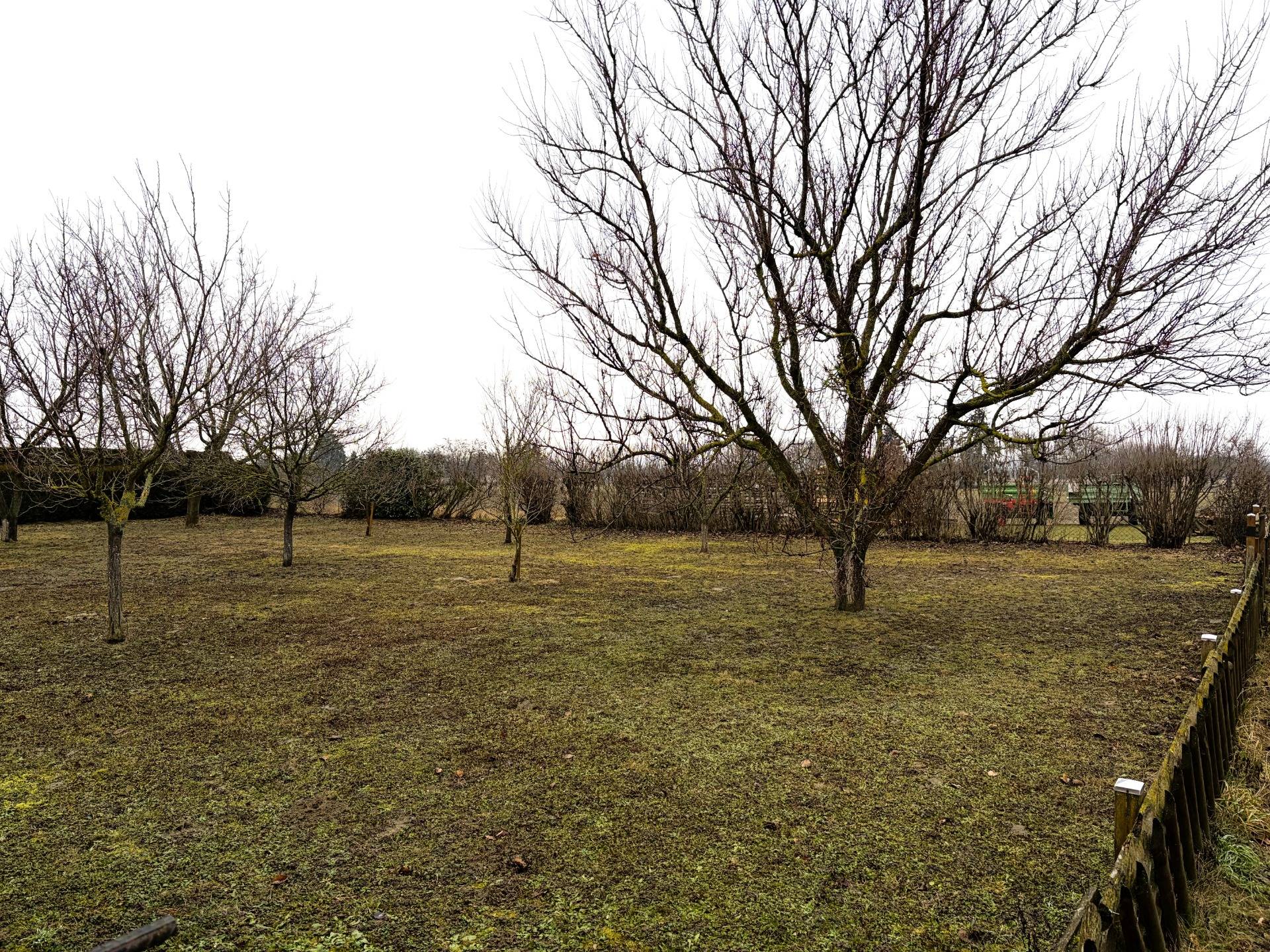 Baugrundstück in ruhiger Lage, Kittsee