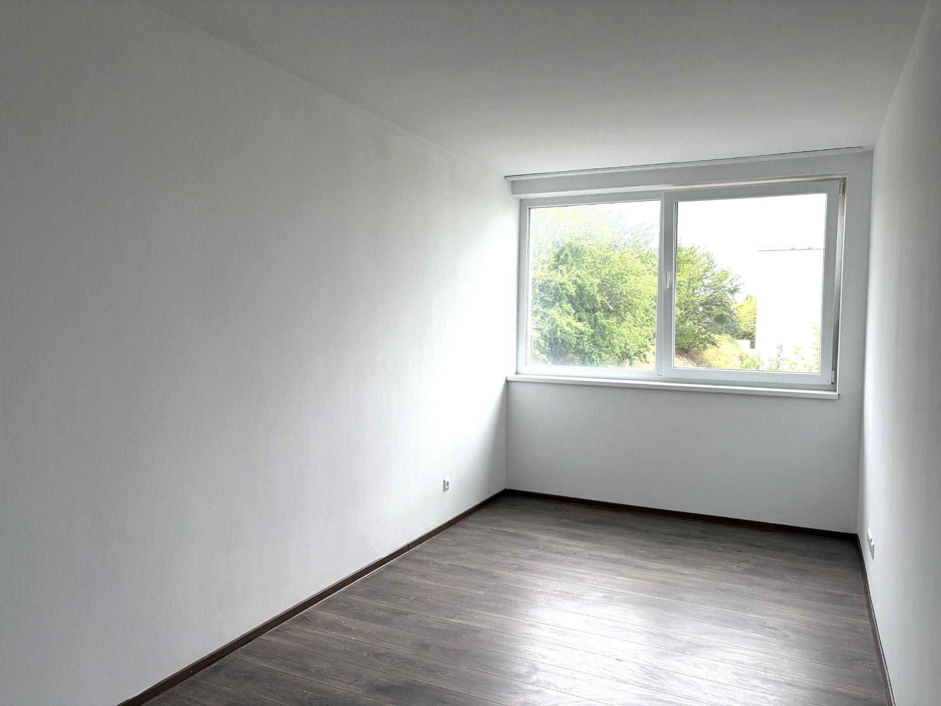 3 Zimmer Wohnung Seepark Kittsee