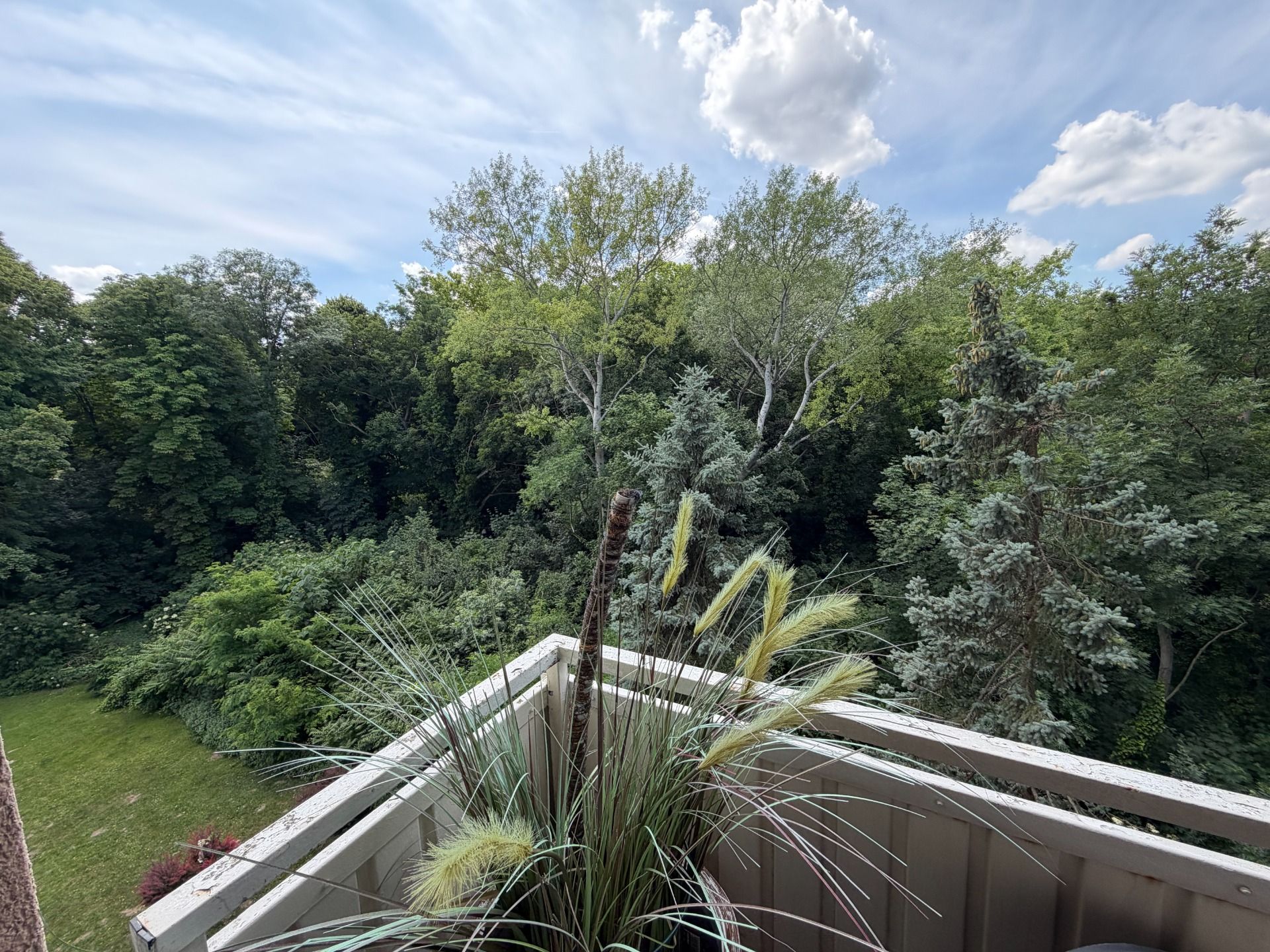 2-Zimmer Wohnung mit Balkon ins Grüne, Kittsee