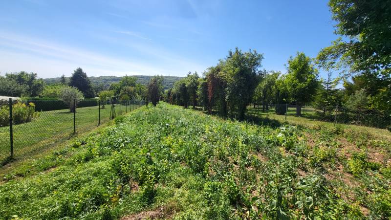 Sonniges Baugrundstück in Edelstal