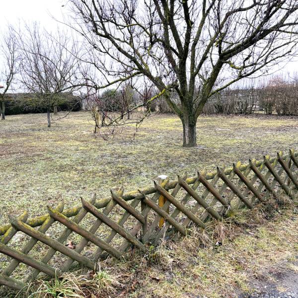 Baugrundstück in ruhiger Lage, Kittsee