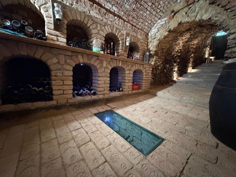Exklusiver historischer Weinkeller in Edelstal 